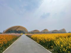 -中国天府农业博览园