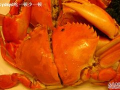 海蟳-财富今典大酒店