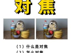 -CGWANG王氏教育(上海校区)