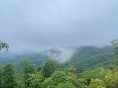 -蜀南竹海景区
