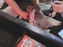 -蜀大侠火锅(国际购物店)