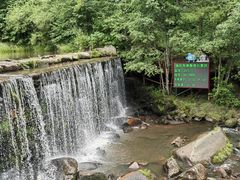 -汤旺河林海奇石景区