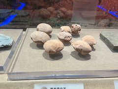 -烟台市博物馆