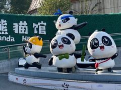 -青藏高原野生动物园