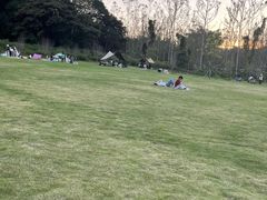 -黄埔油麻山森林公园