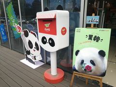 -熊猫邮局(少城店)