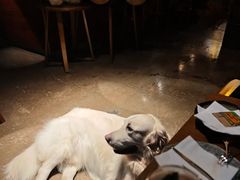 -咖法森林·咖啡  酒吧(天河店)