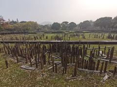 -河姆渡遗址博物馆