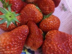 -新隆嘉优选超市(宁山东路店)