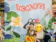-灵玲国际马戏城