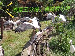 -吉隆坡雀鸟公园