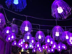 -特克斯八卦城
