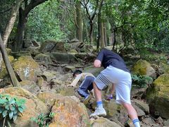 -火炉山森林公园