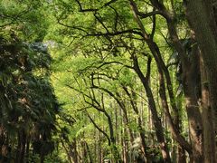 -采石矶景区