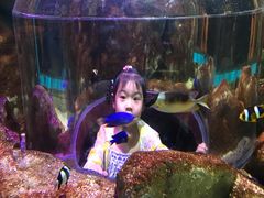 -暹罗海洋世界