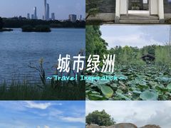 -海珠湖公园