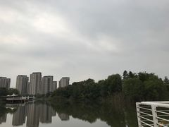 -新江湾城公园