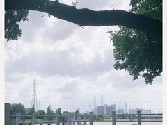 -黄埔古港