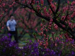 -南国桃园旅游度假区