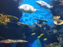 -华夏文旅海洋公园