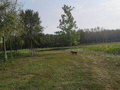 -东郊湿地公园