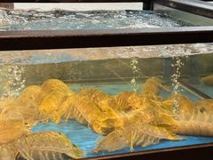 -南海渔村(珠江新城店)