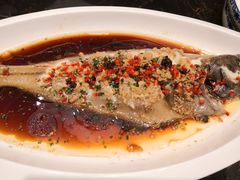 蒜蓉豉香格陵兰鲽鱼-童福兴·南京菜(老门东店)