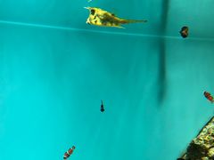 -鹿儿岛水族馆