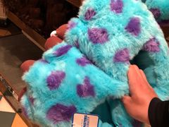 -巴黎迪士尼乐园