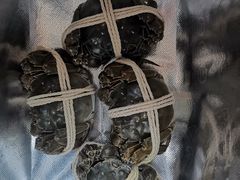-阳澄湖大闸蟹·琼灵阁牌品牌连锁(吴中总店)