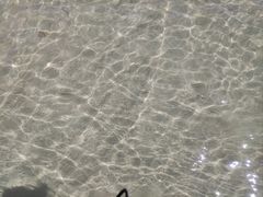 -西涌国际滨海旅游区