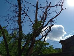 -阳台山自然风景区