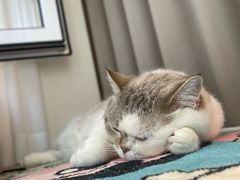 -多乐之日(通州贵友大厦店)