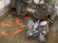 -丽江庭院·云南野生菌·海鲜火锅(鼓楼四合院店)