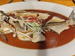 翘嘴鲌鱼-丹江渔村(望京店)