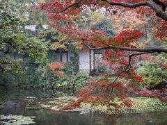 -郭庄景区