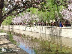 -元大都城垣遗址公园