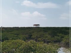 -北海金海湾红树林生态旅游区