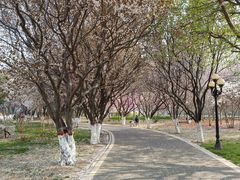 -石家庄市植物园