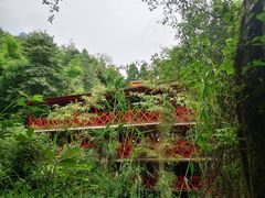 -龙窝子