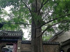 -青岛崂山太清宫
