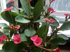 -瓦库茶馆17号(海汇港店)