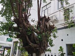 -ADO KAFE(大学城店)