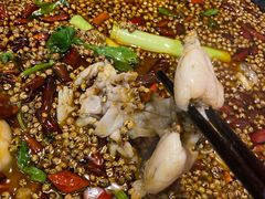 -椒巷子美蛙鱼馆(大都上善谷店)