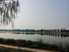 -素心小筑(后沙裕镇店)
