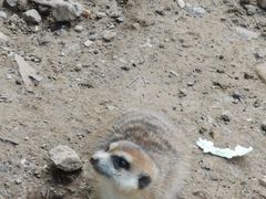 -无锡动物园·太湖欢乐园