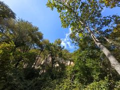 -大岭沟猕猴桃谷风景区