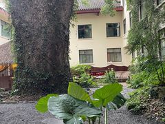 -普陀山雷迪森庄园