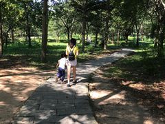 -天河儿童公园