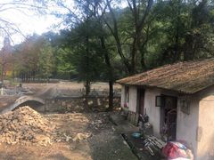 -素山寺森林公园